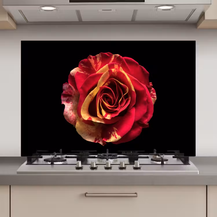 Bloem - Roos - Rood - Zwart keuken achterwand spatscherm klein -3d_website