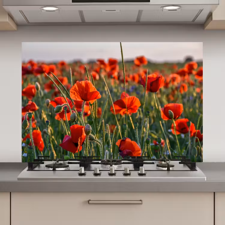 Bloemen - Klaprozen - Natuur - Rood keuken achterwand spatscherm klein -3d_website