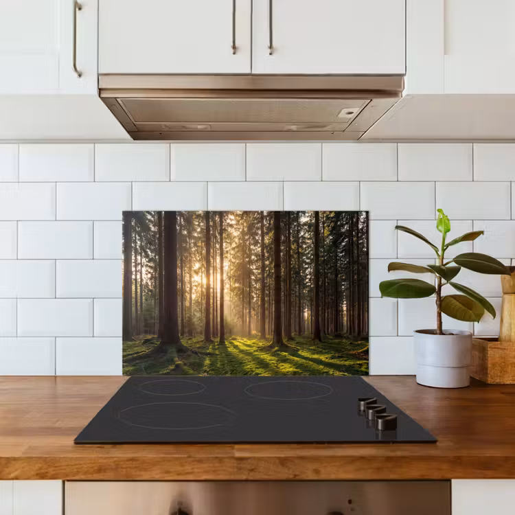Bos - Gras - Zonlicht keuken achterwand spatscherm klein -sfeer2