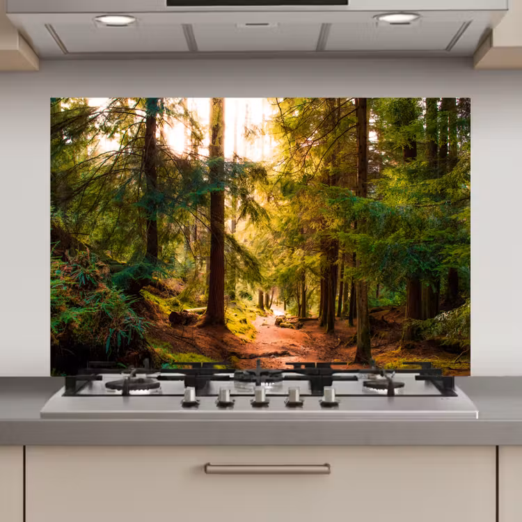 Bos - Pad - Bomen - Groen - Zon - Natuur keuken achterwand spatscherm klein -3d_website