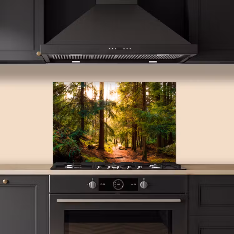 Bos - Pad - Bomen - Groen - Zon - Natuur keuken achterwand spatscherm klein -sfeer1