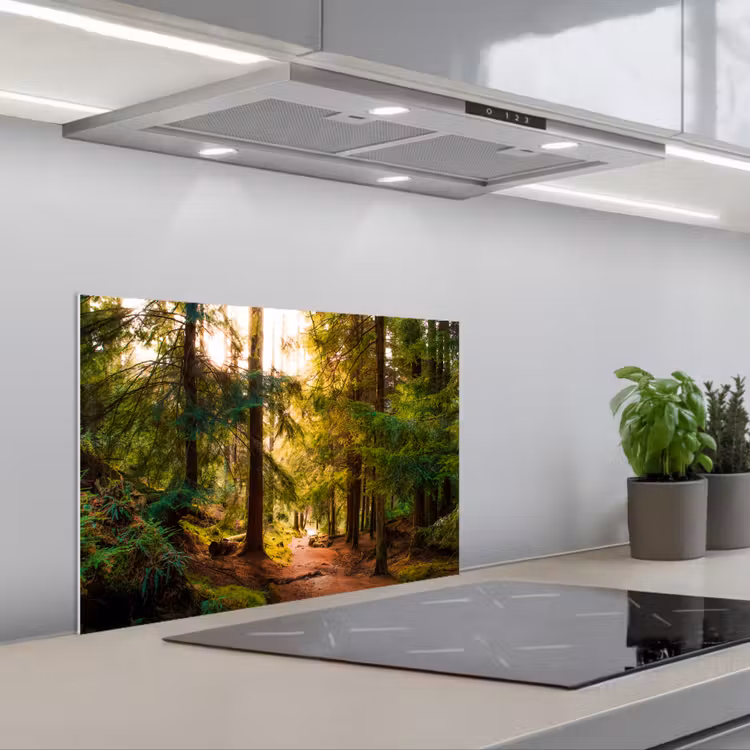 Bos - Pad - Bomen - Groen - Zon - Natuur keuken achterwand spatscherm klein -3d_schuin