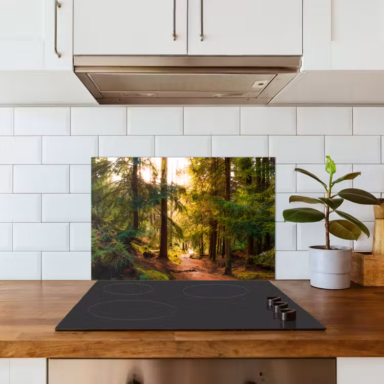 Bos - Pad - Bomen - Groen - Zon - Natuur keuken achterwand spatscherm klein -sfeer2