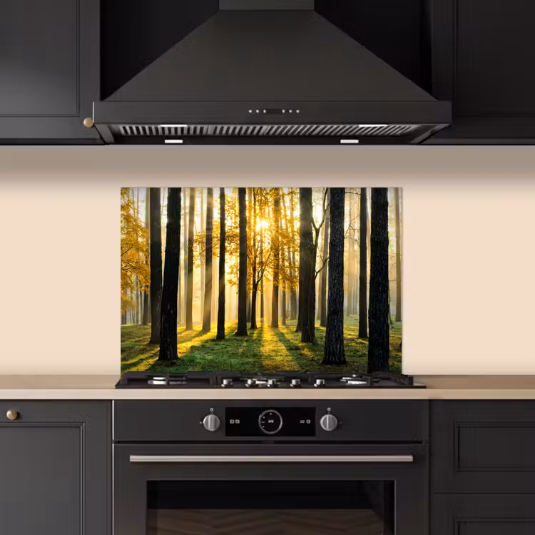 Bos - Zon - Bomen - Gras - Landschap - Natuur keuken achterwand spatscherm klein -sfeer1