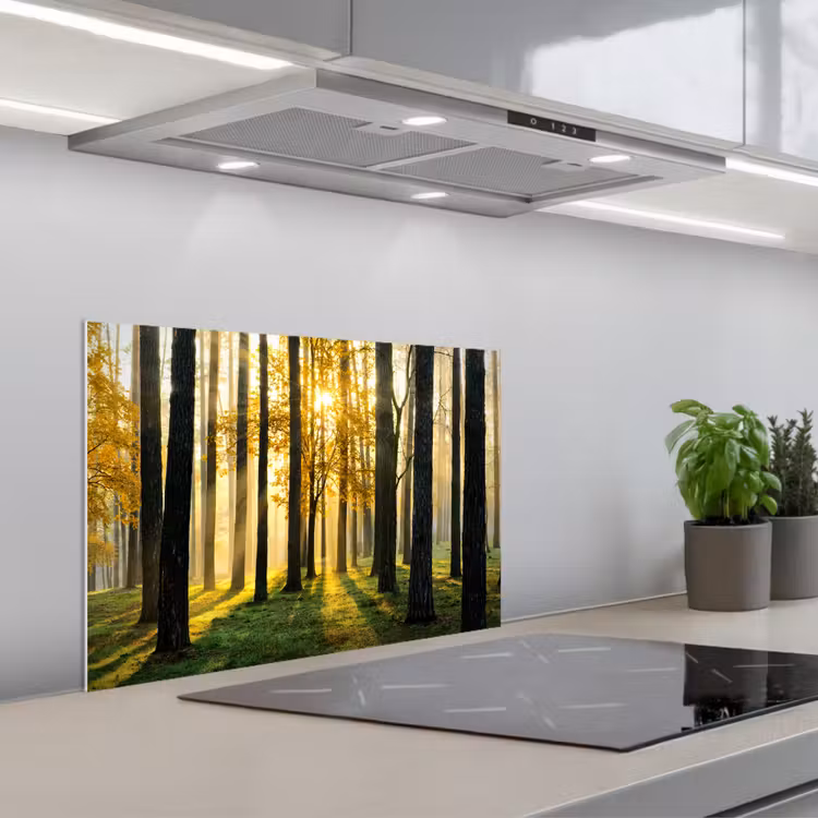 Bos - Zon - Bomen - Gras - Landschap - Natuur keuken achterwand spatscherm klein -3d_schuin