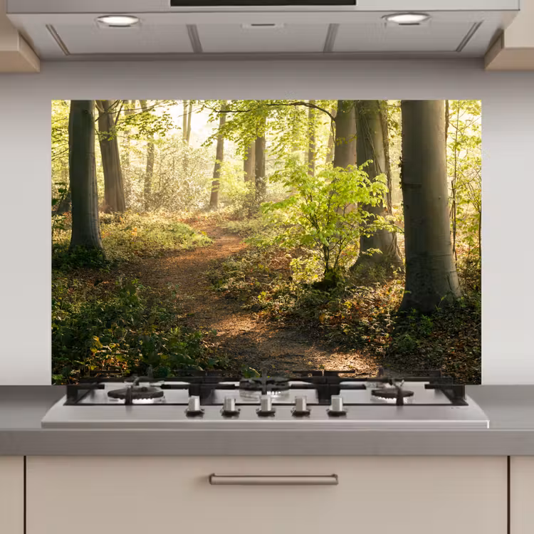 Bos - Bomen - Pad - Zon - Planten - Bladeren - Natuur keuken achterwand spatscherm klein -3d_website