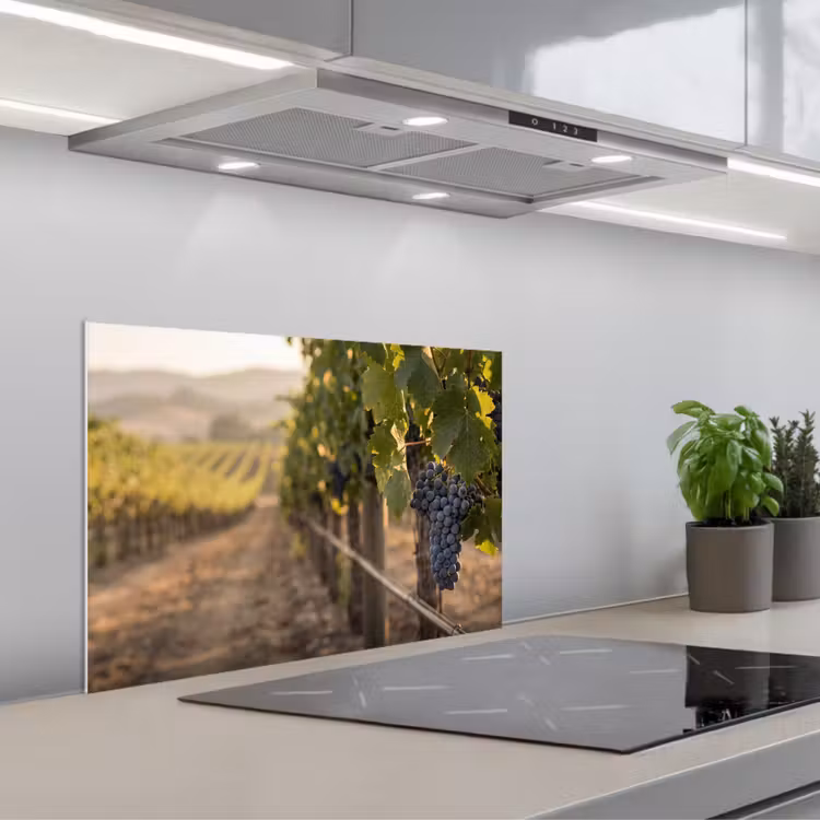 Druiven - Wijngaard - Zonlicht keuken achterwand spatscherm klein -3d_schuin