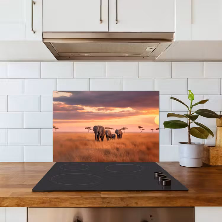 Groep olifanten - Open vlakte - Zon keuken achterwand spatscherm klein -sfeer2