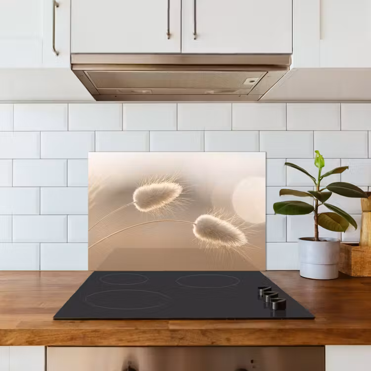 Hazestaartgras - Graanharen - Zonlicht keuken achterwand spatscherm klein -sfeer2