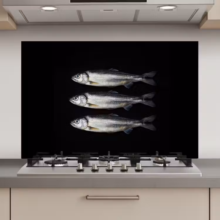 Haring - Vissen - Zwart keuken achterwand spatscherm klein -3d_website