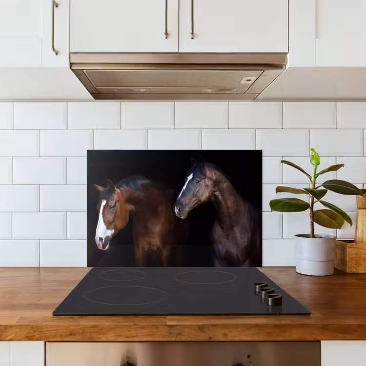 Paard - Dieren - Zwart keuken achterwand spatscherm klein -sfeer2