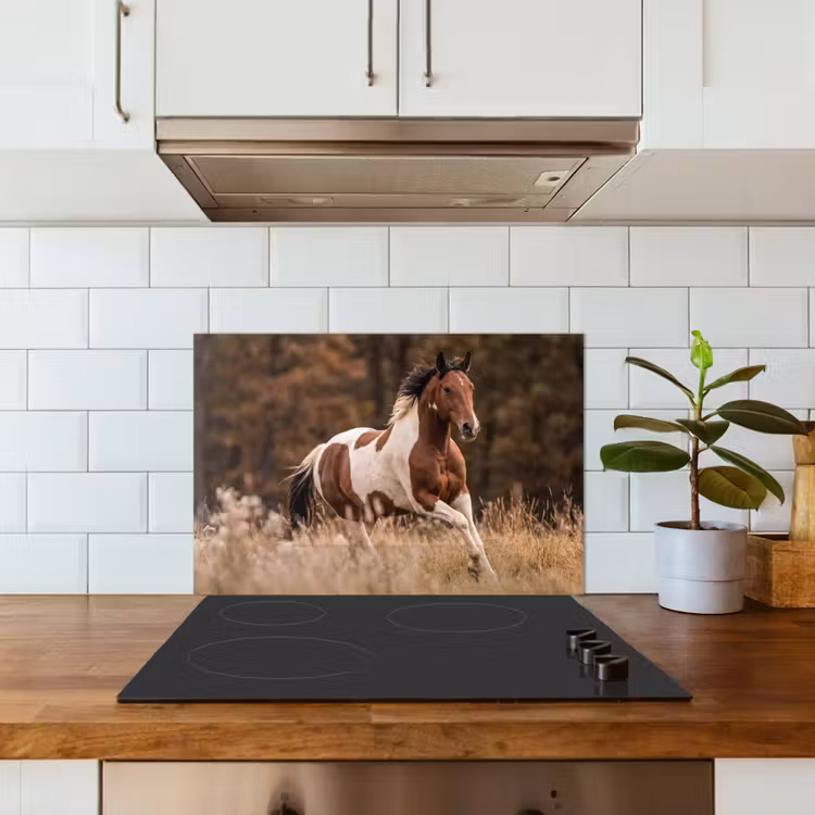 Paard - Bruin - Gras keuken achterwand spatscherm klein -sfeer2