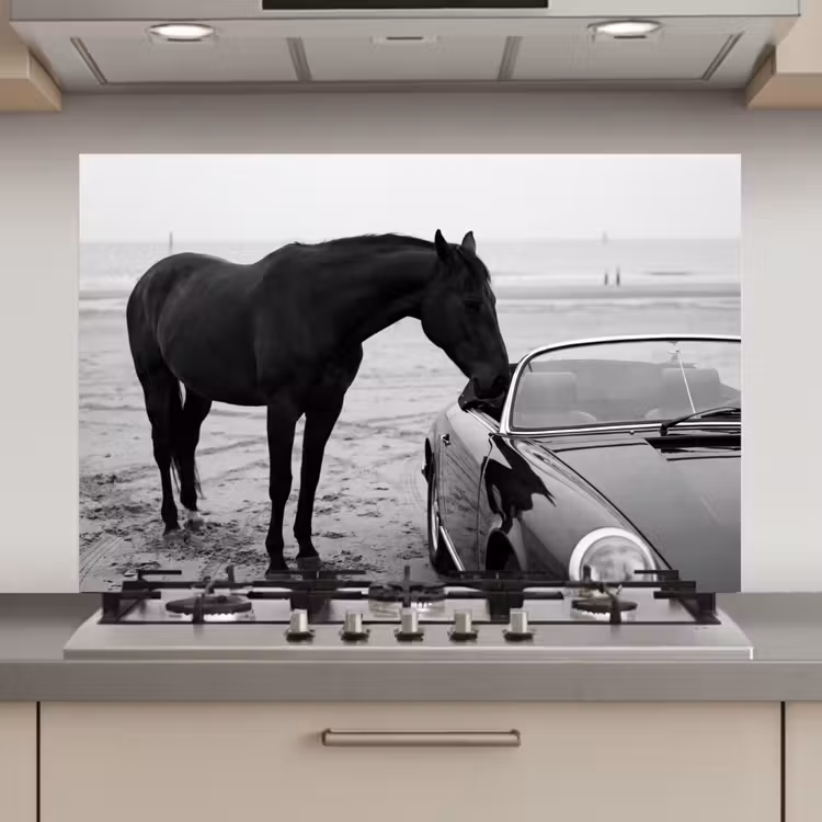 Paard - Auto - Zwart - Wit keuken achterwand spatscherm klein -3d_website