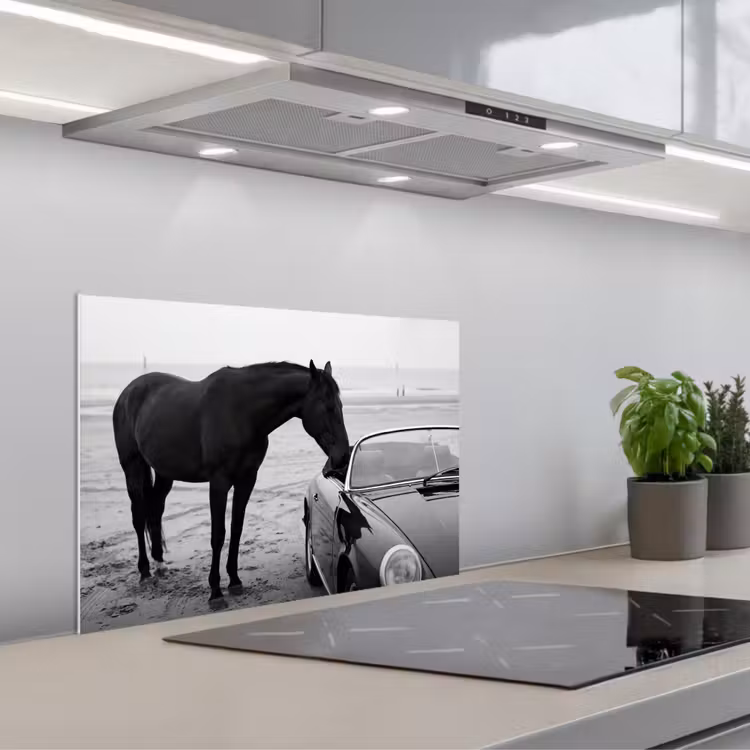 Paard - Auto - Zwart - Wit keuken achterwand spatscherm klein -3d_schuin