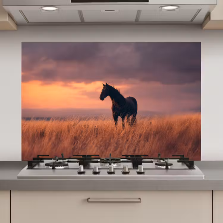 Paard - Wolken - Open veld keuken achterwand spatscherm klein -3d_website