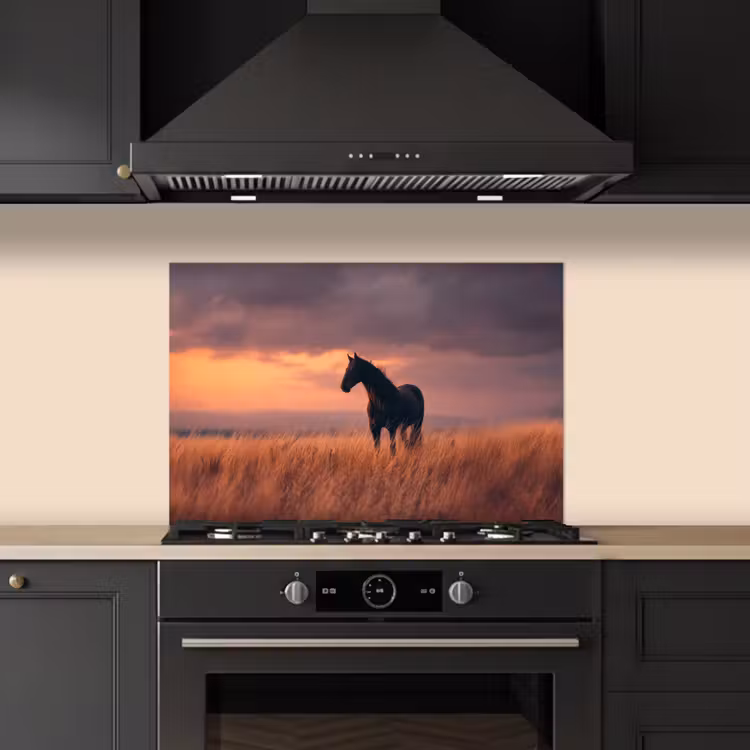 Paard - Wolken - Open veld keuken achterwand spatscherm klein -sfeer1