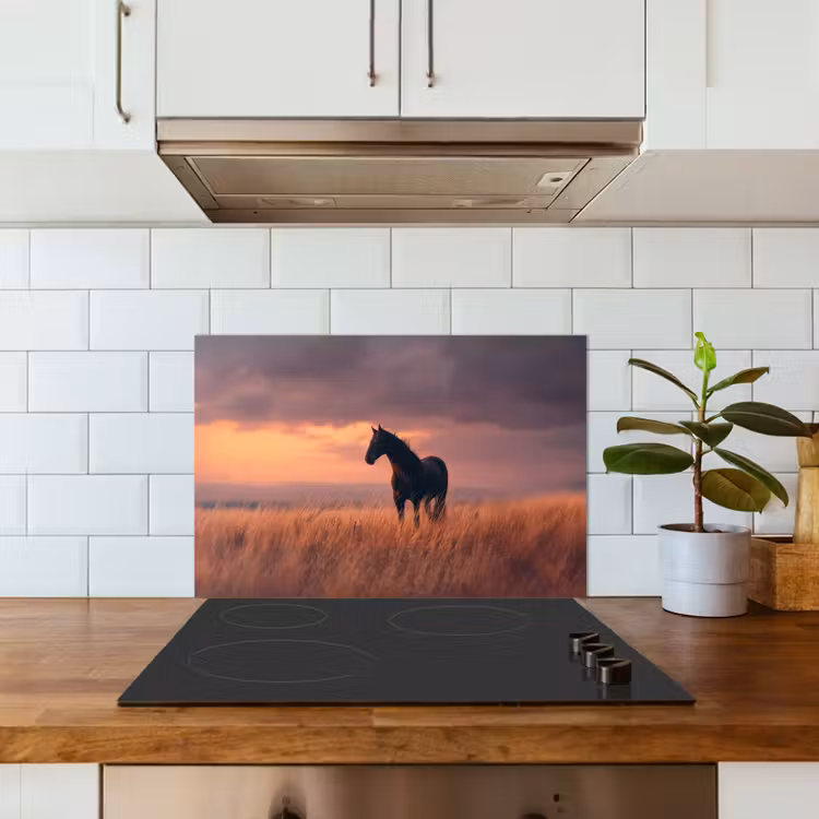 Paard - Wolken - Open veld keuken achterwand spatscherm klein -sfeer2
