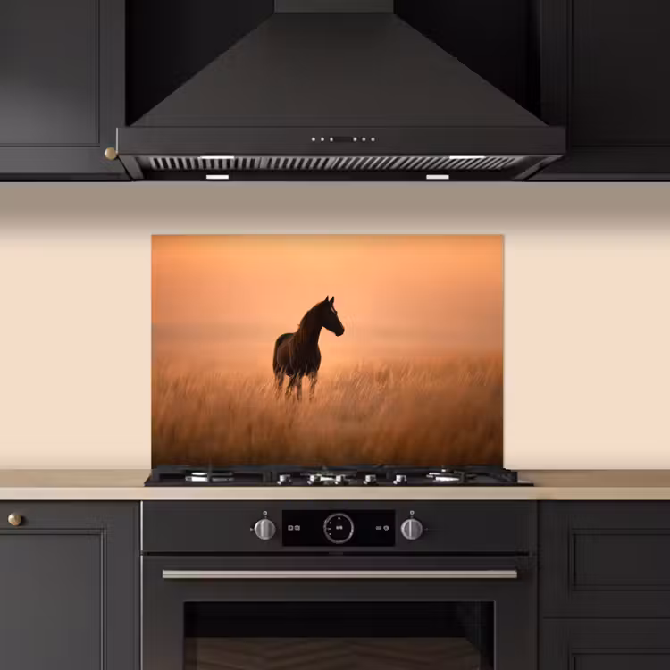 Paard - Grasveld - Zonsondergang keuken achterwand spatscherm klein -sfeer1