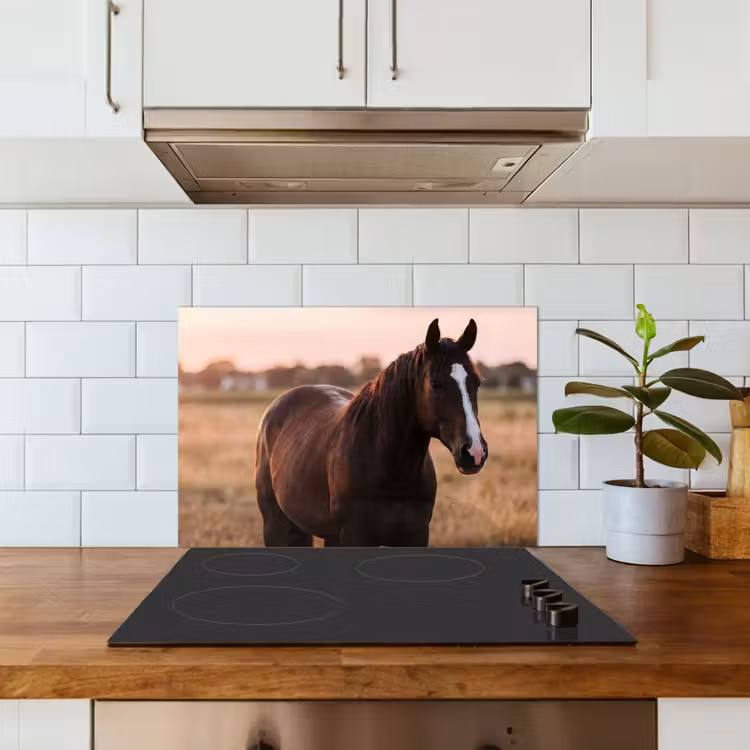 Paard - Zonsondergang - Bruin keuken achterwand spatscherm klein -sfeer2