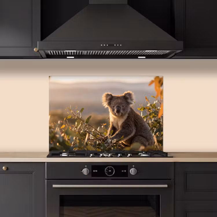 Koala - Bladeren - Ochtendlicht keuken achterwand spatscherm klein -sfeer1