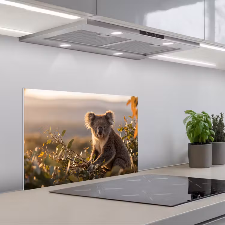Koala - Bladeren - Ochtendlicht keuken achterwand spatscherm klein -3d_schuin