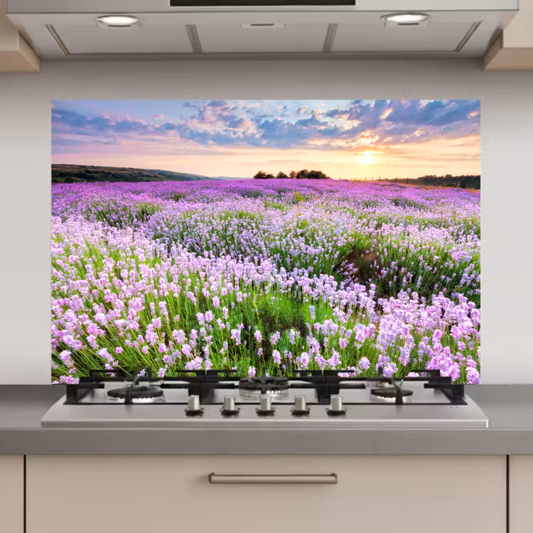 Lavendel - Bloemen - Zonsondergang - Paars - Weide keuken achterwand spatscherm klein -3d_website