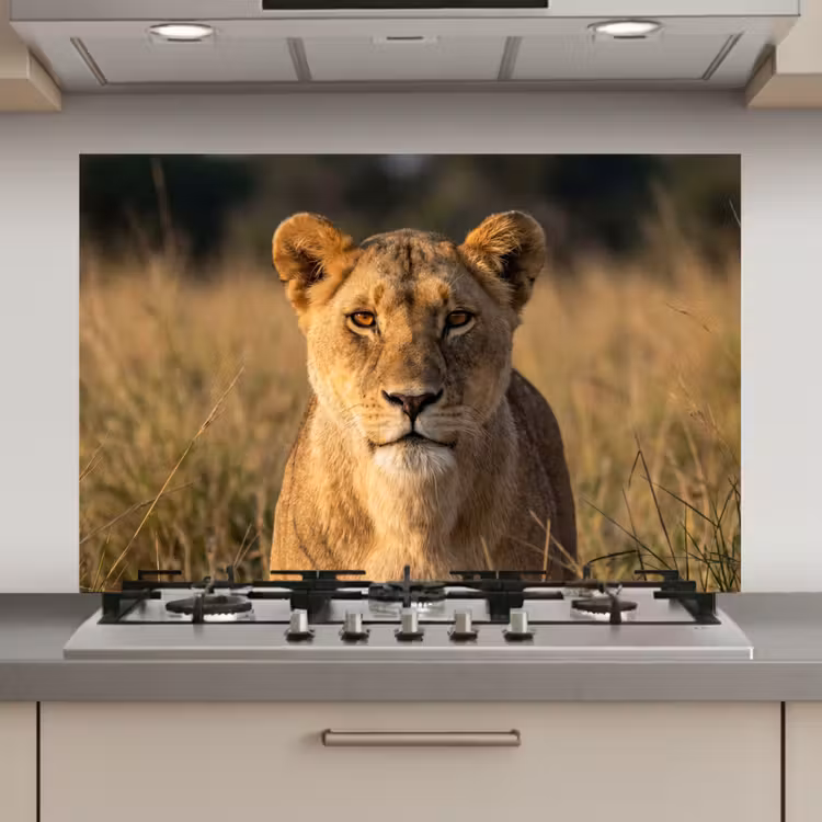 Leeuwin - Gras - Geel keuken achterwand spatscherm klein -3d_website