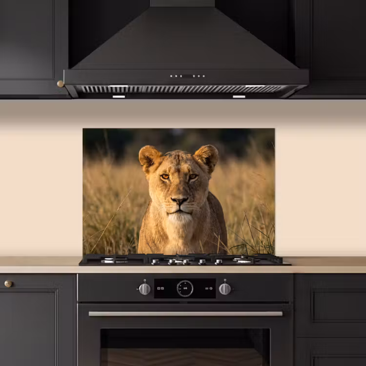 Leeuwin - Gras - Geel keuken achterwand spatscherm klein -sfeer1