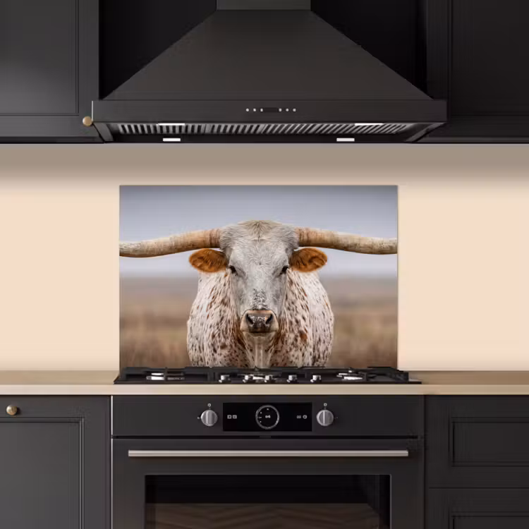 Longhorn - Grasveld - Dier keuken achterwand spatscherm klein -sfeer1