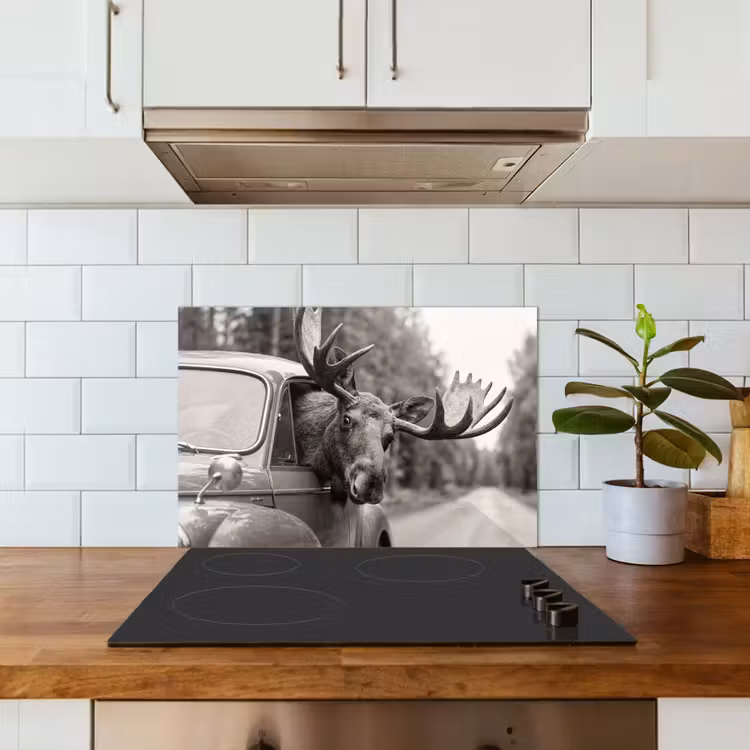 Eland - Auto - Gewei - Zwart - Wit keuken achterwand spatscherm klein -sfeer2