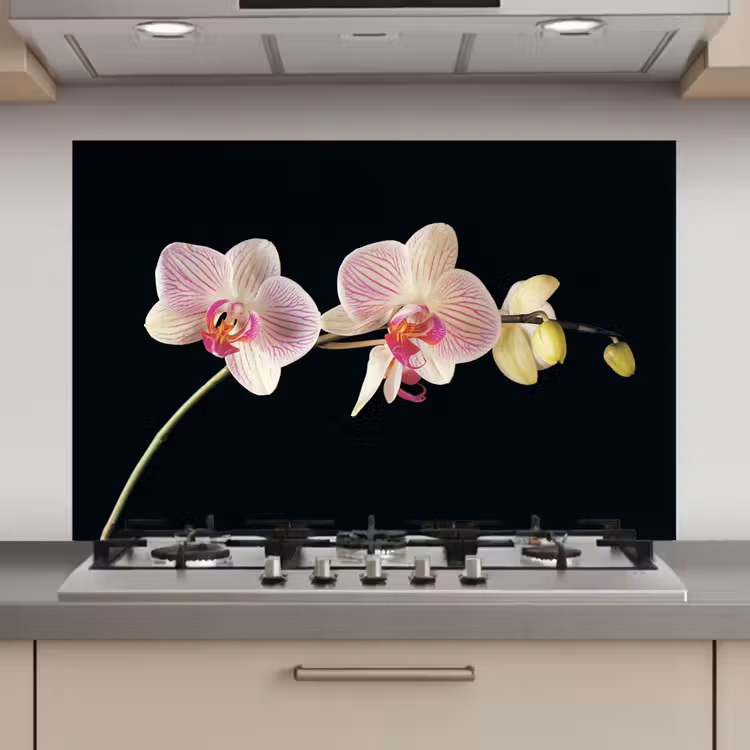Orchidee - Bloemen - Zwart - Roze - Knoppen keuken achterwand spatscherm klein -3d_website