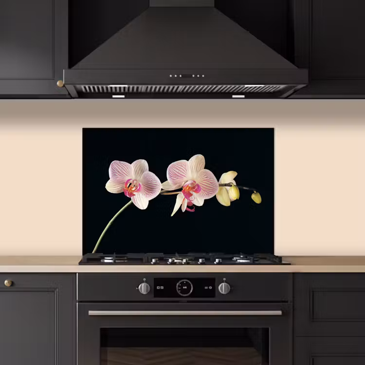Orchidee - Bloemen - Zwart - Roze - Knoppen keuken achterwand spatscherm klein -sfeer1