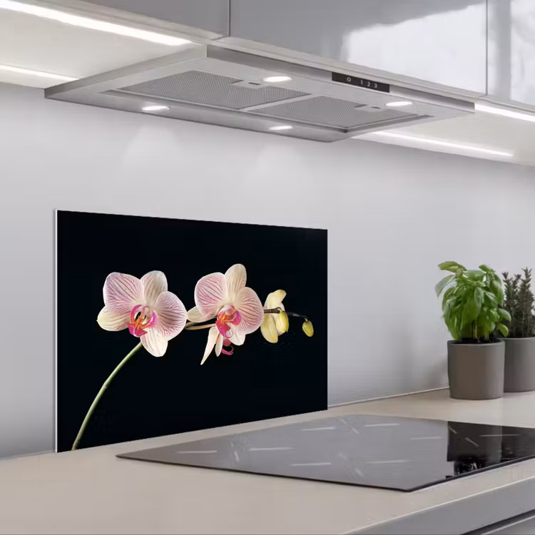 Orchidee - Bloemen - Zwart - Roze - Knoppen keuken achterwand spatscherm klein -3d_schuin