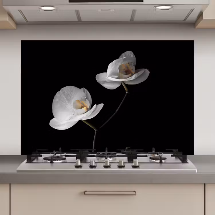 Orchidee - Bloemen - Zwart - Wit - Stilleven keuken achterwand spatscherm klein -3d_website
