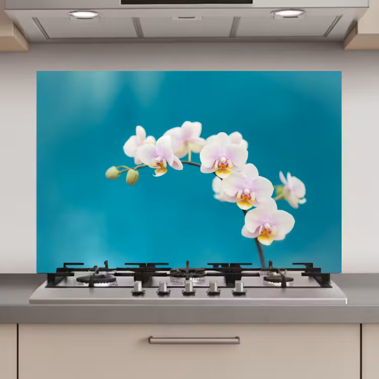 Orchidee - Bloemen - Plant - Wit - Paars keuken achterwand spatscherm klein -3d_website