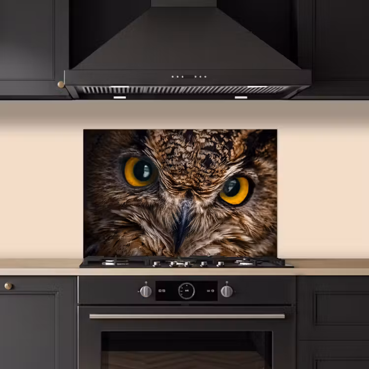 Uil - Dier - Oranje keuken achterwand spatscherm klein -sfeer1