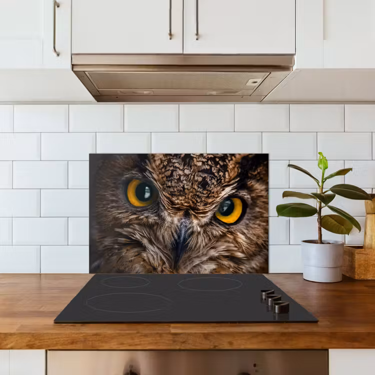 Uil - Dier - Oranje keuken achterwand spatscherm klein -sfeer2