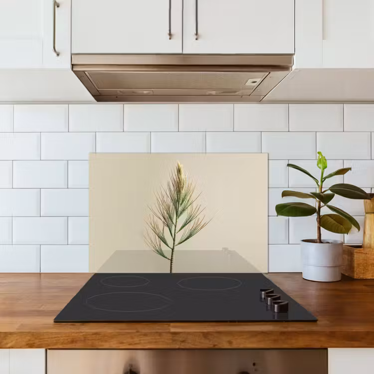 Dennentak - Naaldvormige bladeren - Lichtgroen keuken achterwand spatscherm klein -sfeer2