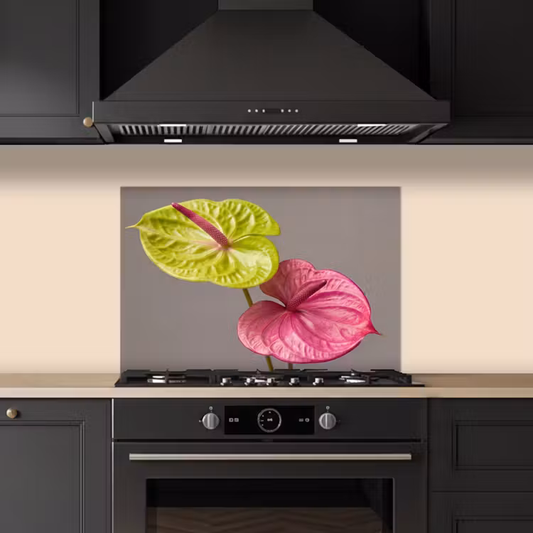 Planten - Anthurium - Groen - Roze keuken achterwand spatscherm klein -sfeer1
