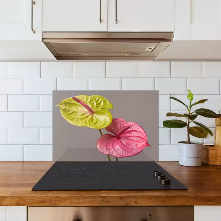 Planten - Anthurium - Groen - Roze keuken achterwand spatscherm klein -sfeer2