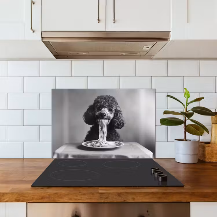 Poedel - Hond - Zwart - Wit - Schattig - Pasta keuken achterwand spatscherm klein -sfeer2