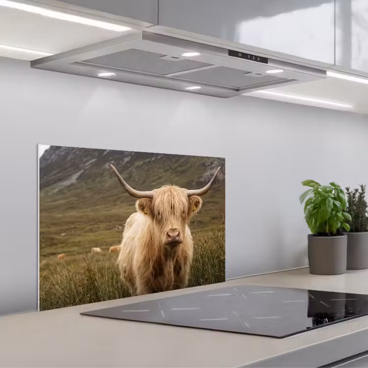 Schotse hooglander - Bergen - Grasveld keuken achterwand spatscherm klein -3d_schuin