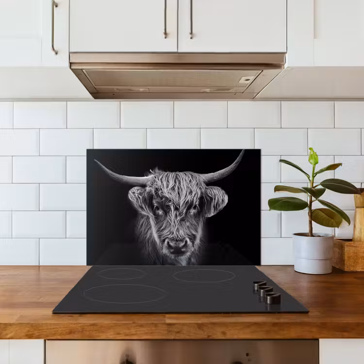 Schotse hooglander - Zwart - Koe - Dieren keuken achterwand spatscherm klein -sfeer2