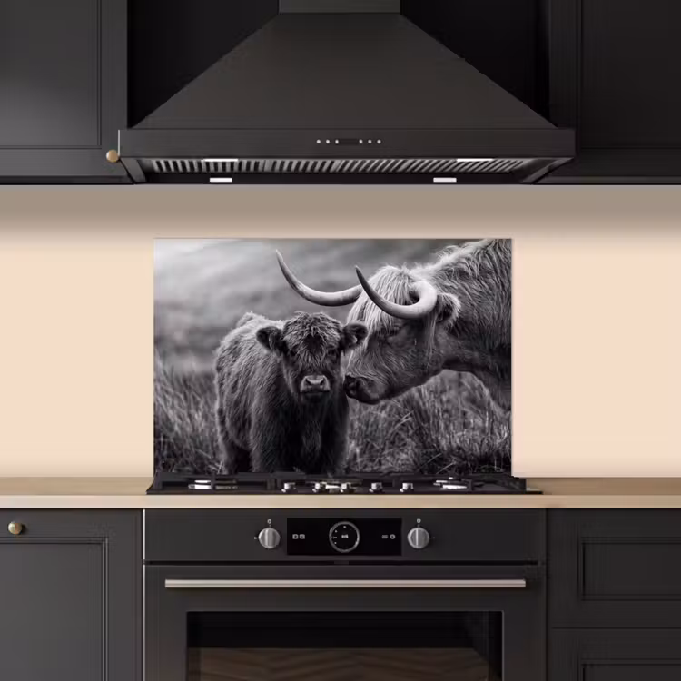 Schotse hooglander - Kalf - Zwart - Wit keuken achterwand spatscherm klein -sfeer1