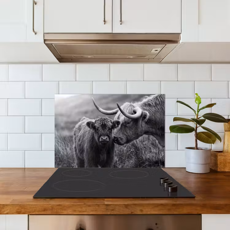 Schotse hooglander - Kalf - Zwart - Wit keuken achterwand spatscherm klein -sfeer2