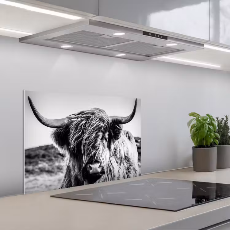 Schotse hooglander - Close up - Horens - Vacht - Zwart Wit keuken achterwand spatscherm klein -3d_schuin