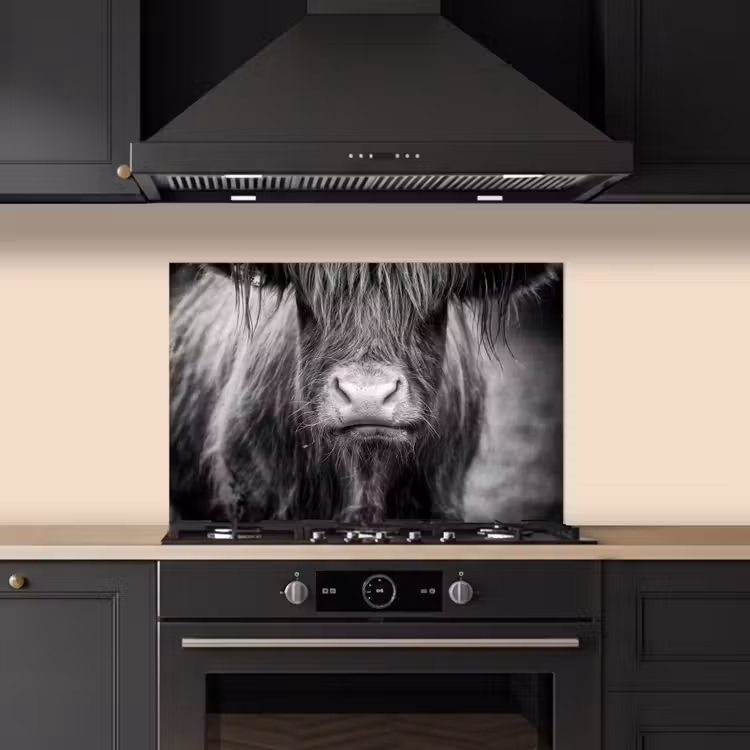Schotse hooglander - Koe - Zwart - Wit - Dieren keuken achterwand spatscherm klein -sfeer1