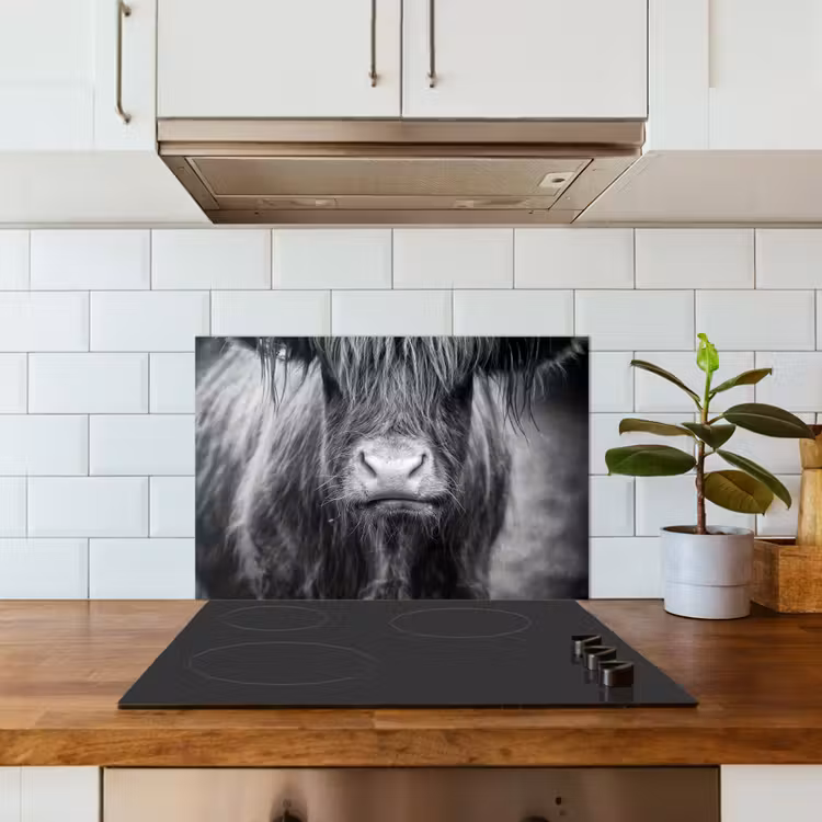 Schotse hooglander - Koe - Zwart - Wit - Dieren keuken achterwand spatscherm klein -sfeer2