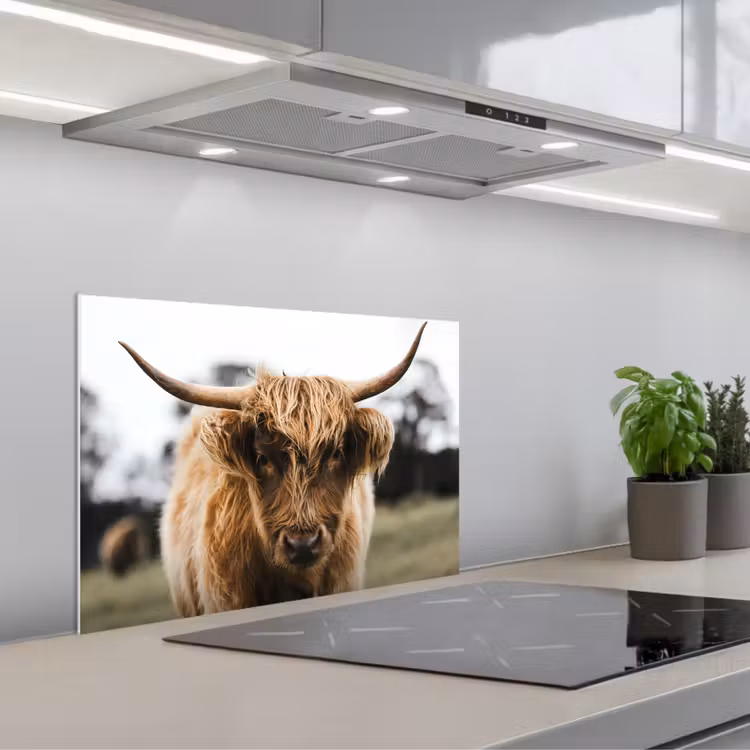 Schotse Hooglander - Koe - Gras - Dieren - Natuur keuken achterwand spatscherm klein -3d_schuin