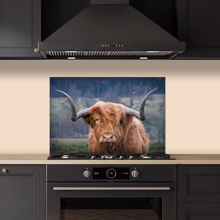 Schotse Hooglander - Koeienkop - Landschap - Natuur - Koe keuken achterwand spatscherm klein -sfeer1